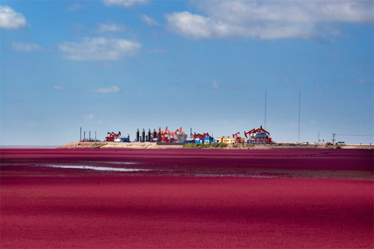 遼河油田連續(xù)26年穩(wěn)產(chǎn)千萬(wàn)噸石油